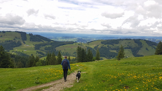 Mit_Hund_rund_um_Oberstaufen_unterwegs__5_