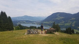 Mit_Hund_rund_um_Oberstaufen_unterwegs__4_