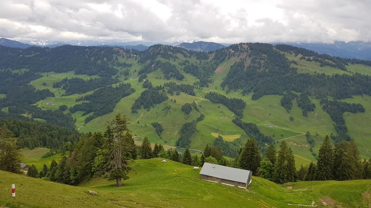Blick auf das Lecknertal von der Nagelfluhkette