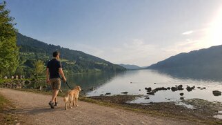 Mit_Hund_rund_um_Oberstaufen_unterwegs__3_