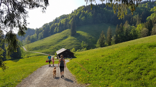 Mit_Hund_rund_um_Oberstaufen_unterwegs__2_