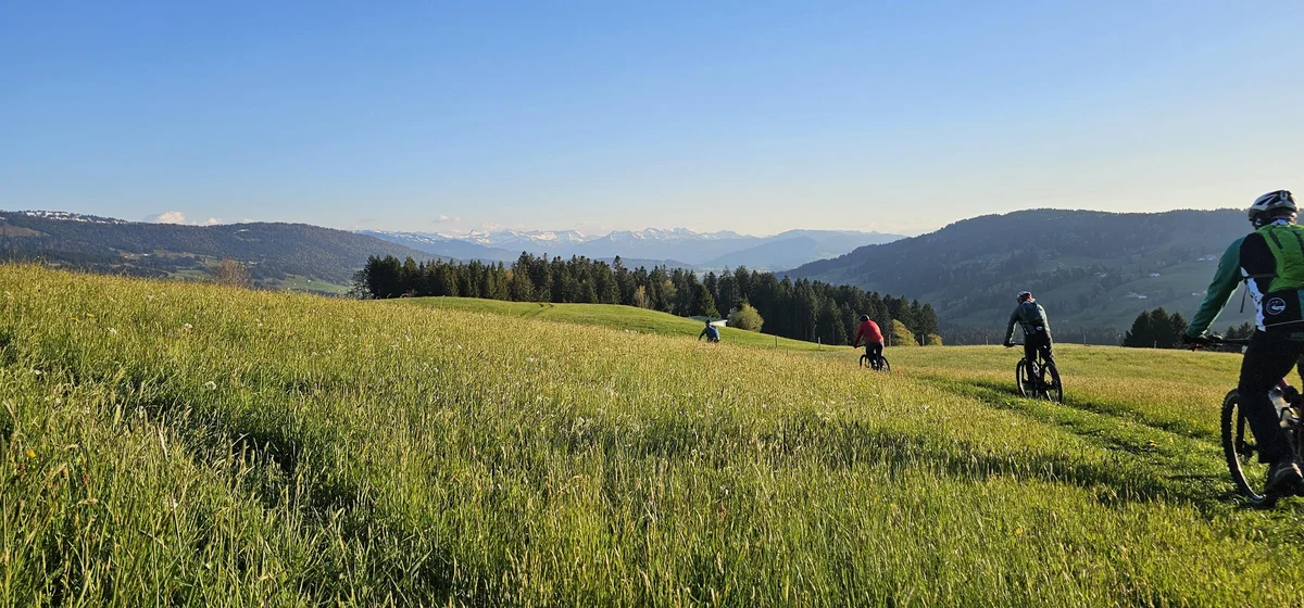 Mit dem Mountainbike rund um Oberstaufen