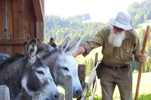 Besuch bei den Eseln auf einer der Wanderung rund um unser Haus